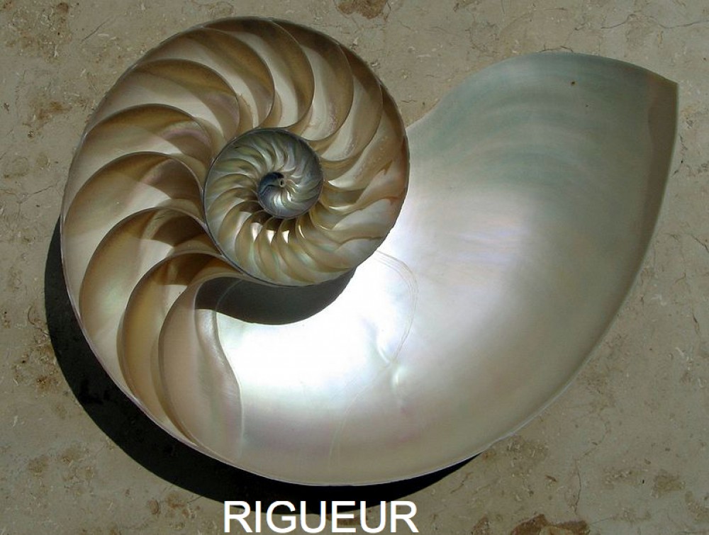 Anne de Neuville Architecte d'intérieur